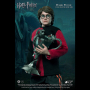 HARRY POTTER 1: 8 (TRIWIZARD)