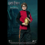 HARRY POTTER 1: 8 (TRIWIZARD)