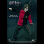 HARRY POTTER 1: 8 (TRIWIZARD)