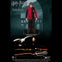 HARRY POTTER 1: 8 (TRIWIZARD)