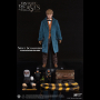 NEWT SCAMANDER
