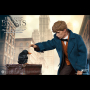 NEWT SCAMANDER