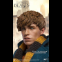NEWT SCAMANDER