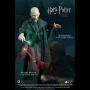 LORD VOLDEMORT 1: 8