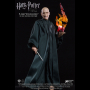 LORD VOLDEMORT 1: 8