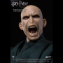 LORD VOLDEMORT 1: 8