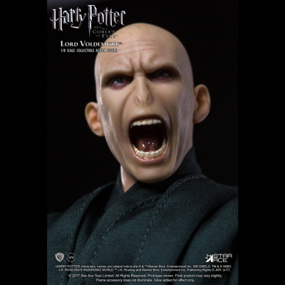 LORD VOLDEMORT 1: 8
