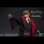 RON WEASLEY (TEENAGE VER.)