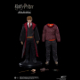 RON WEASLEY (TEENAGE VER.)