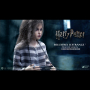 BELLATRIX LESTRANGE (PRISONER)