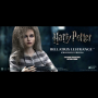 BELLATRIX LESTRANGE (PRISONER)