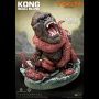 DF KONG 2.0 (OCTOPUS)