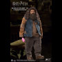 RUBEUS HAGRID 2.0