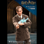 REMUS LUPIN 