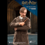 REMUS LUPIN 