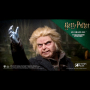 PETER PETTIGREW