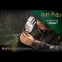 PETER PETTIGREW