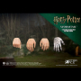 PETER PETTIGREW