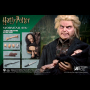 PETER PETTIGREW