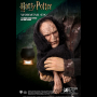 PETER PETTIGREW
