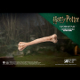 PETER PETTIGREW