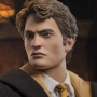 CEDRIC DIGGORY