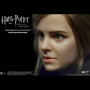 HERMIONE GRANGER 