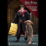 HARRY POTTER 1:8 2.0