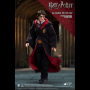 HARRY POTTER 1:8 2.0
