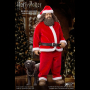Rubeus Hagrid (XMAS)