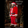 Rubeus Hagrid (XMAS)