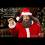 Rubeus Hagrid (XMAS)