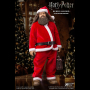 Rubeus Hagrid (XMAS)